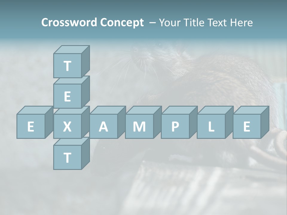 Cats And Dogs Asia Rat Terrier PowerPoint Template