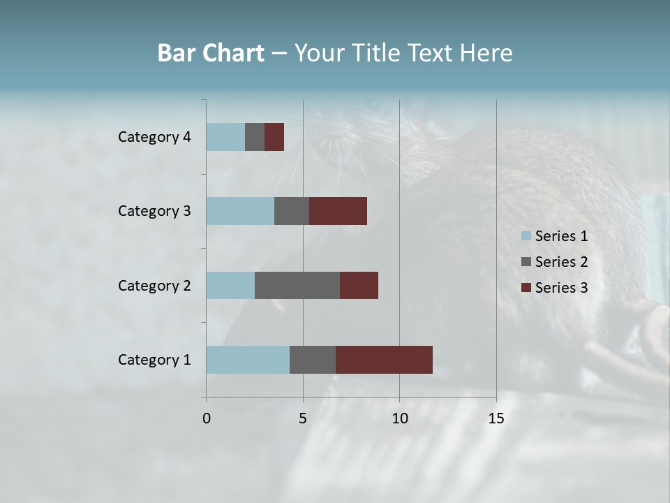 Cats And Dogs Asia Rat Terrier PowerPoint Template