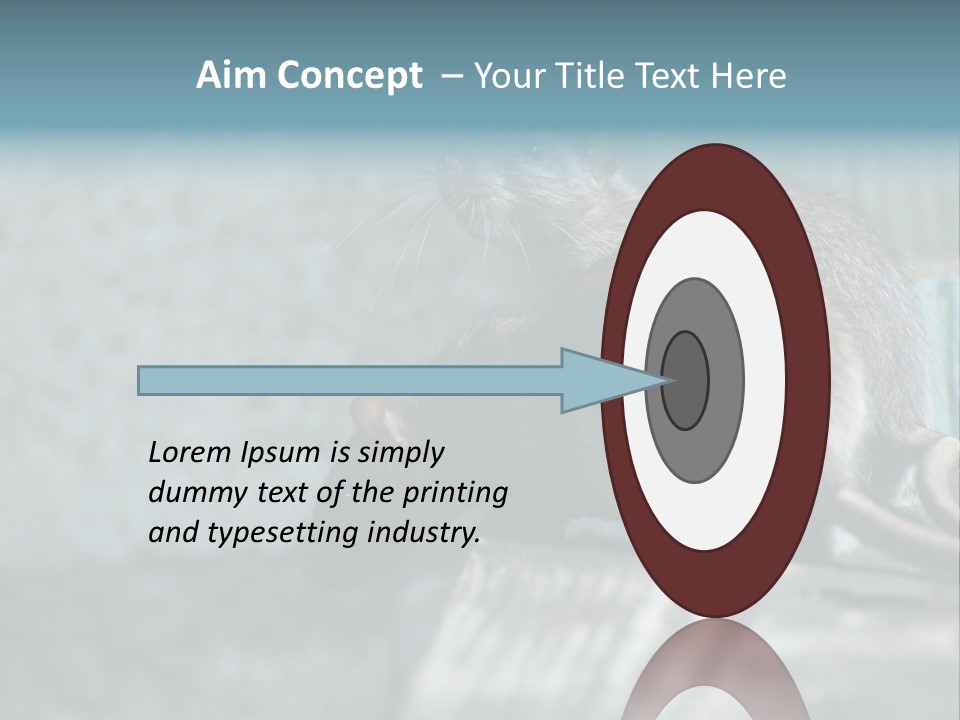 Cats And Dogs Asia Rat Terrier PowerPoint Template