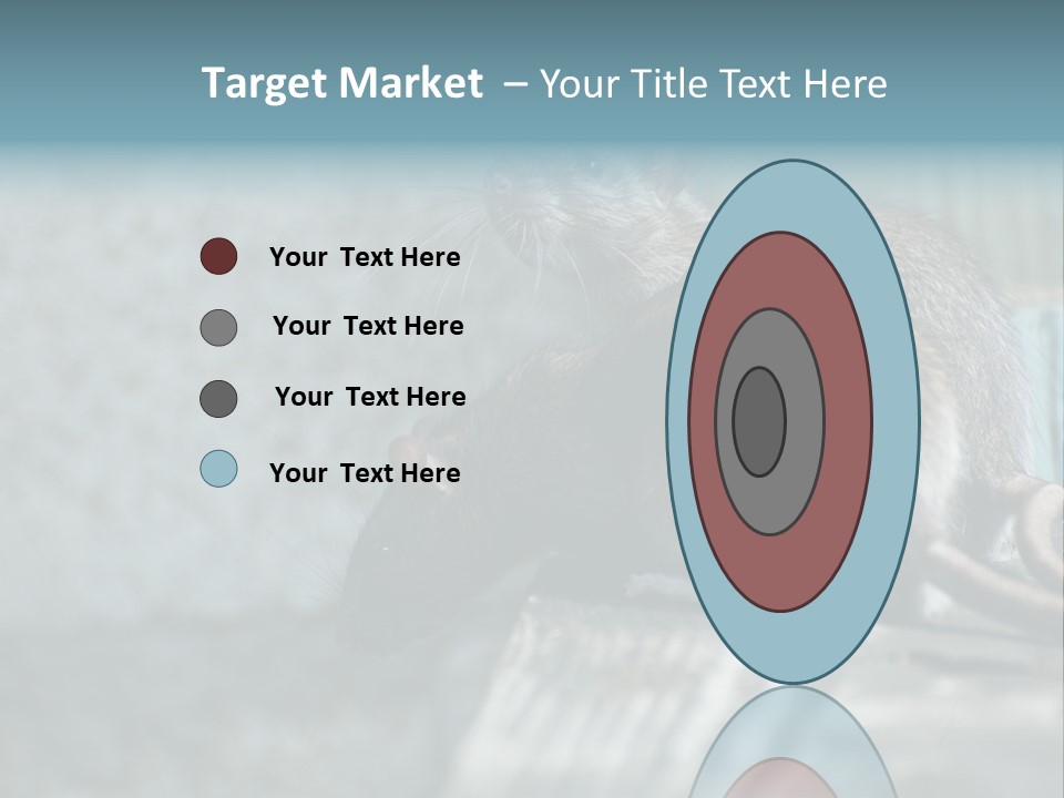 Cats And Dogs Asia Rat Terrier PowerPoint Template