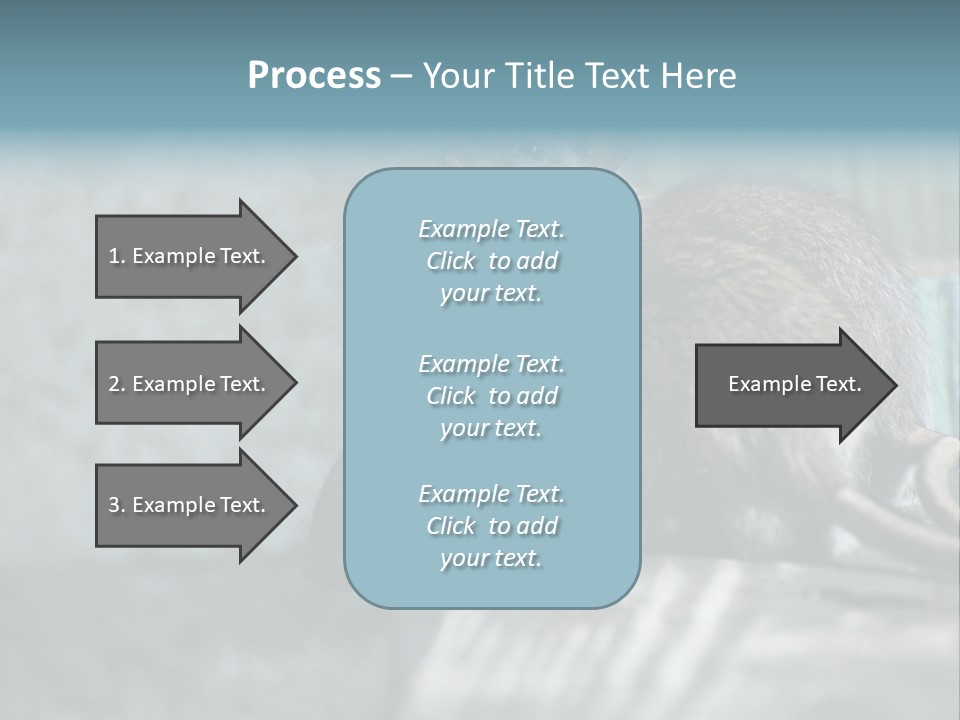 Cats And Dogs Asia Rat Terrier PowerPoint Template
