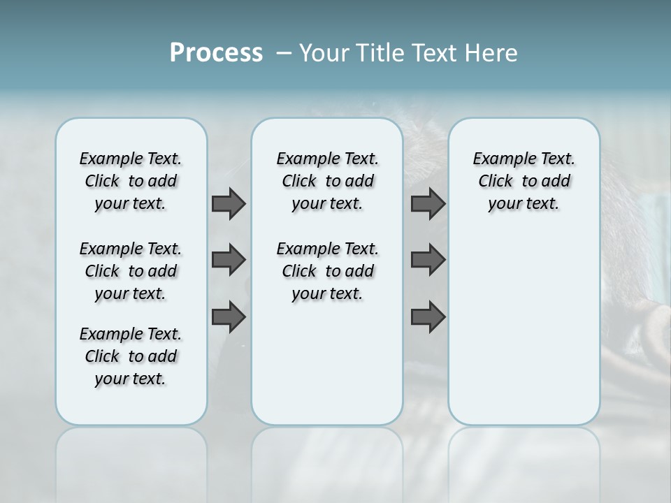 Cats And Dogs Asia Rat Terrier PowerPoint Template