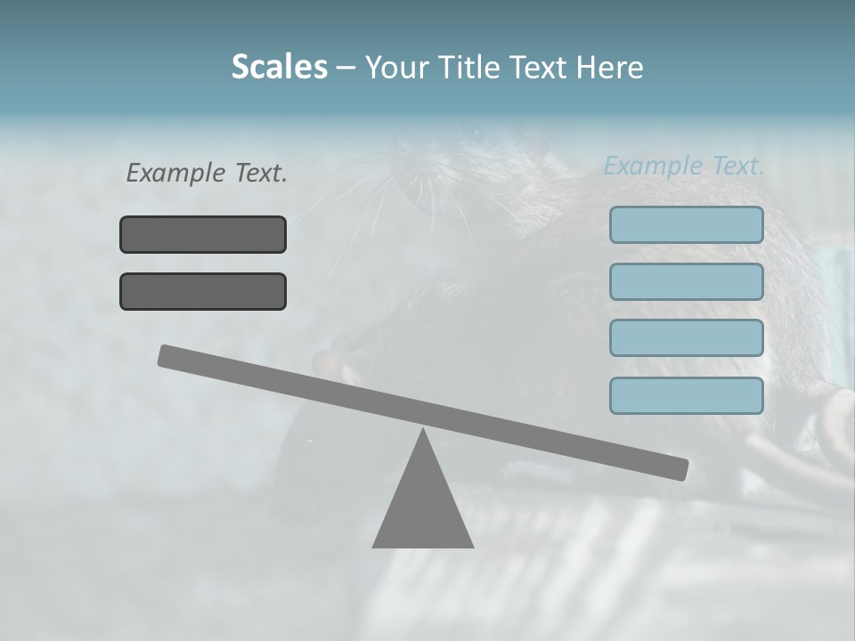 Cats And Dogs Asia Rat Terrier PowerPoint Template