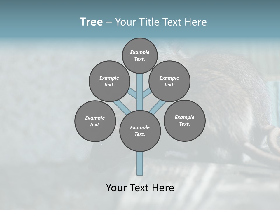 Cats And Dogs Asia Rat Terrier PowerPoint Template