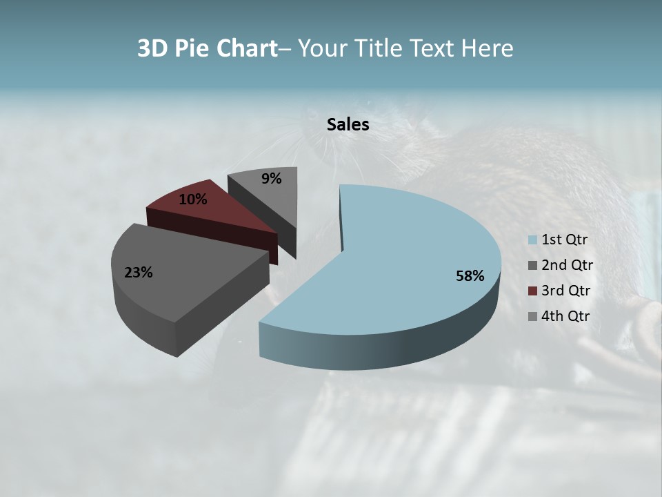 Cats And Dogs Asia Rat Terrier PowerPoint Template