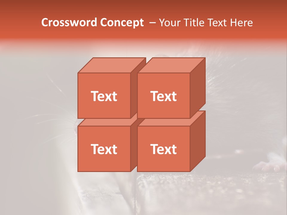 South America Mouse Rat Brown Rat PowerPoint Template