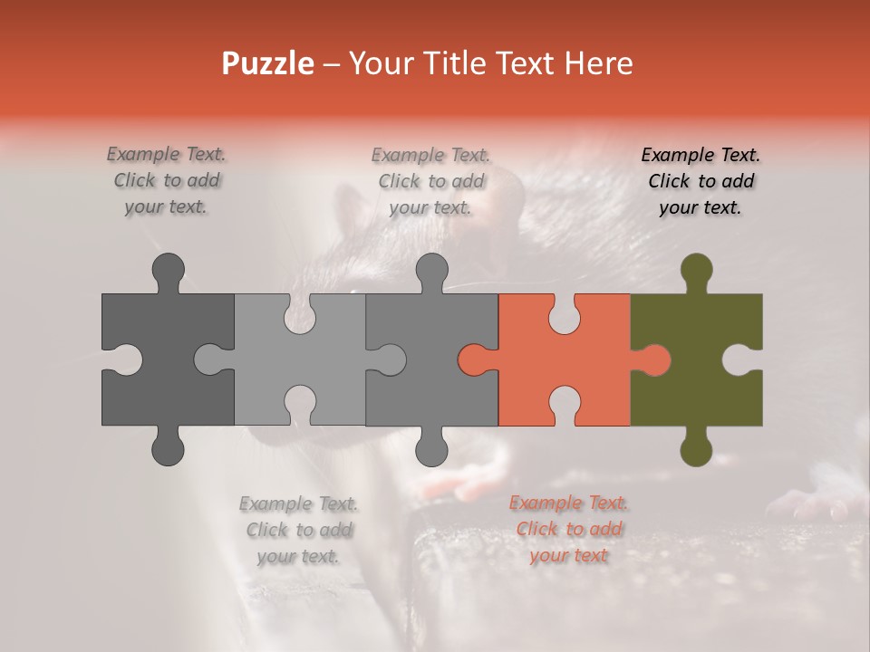 South America Mouse Rat Brown Rat PowerPoint Template