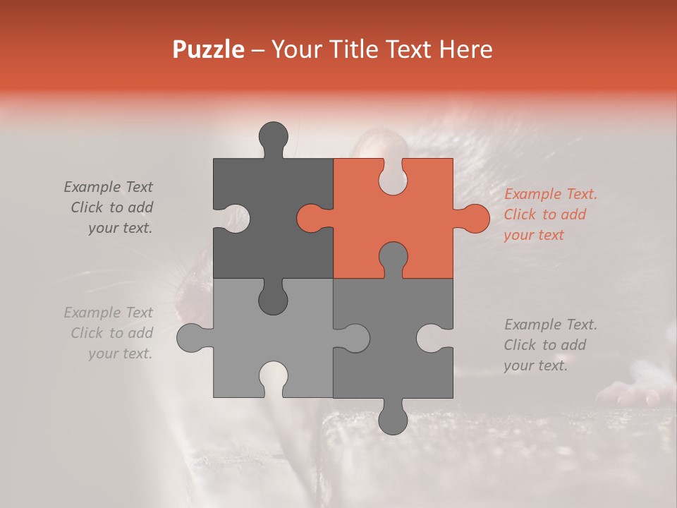 South America Mouse Rat Brown Rat PowerPoint Template