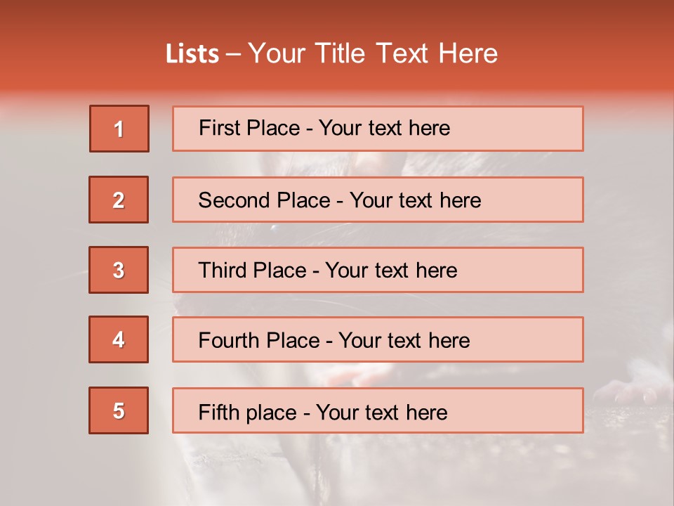 South America Mouse Rat Brown Rat PowerPoint Template