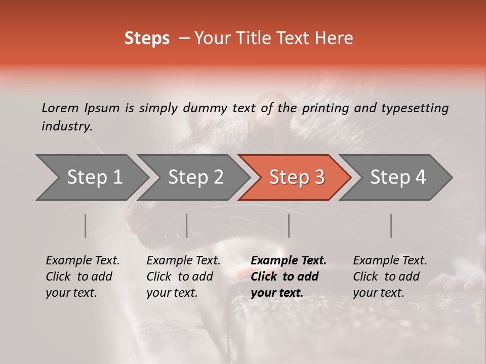South America Mouse Rat Brown Rat PowerPoint Template