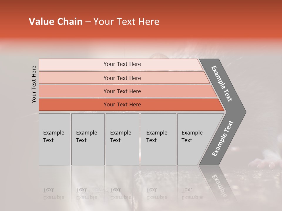 South America Mouse Rat Brown Rat PowerPoint Template