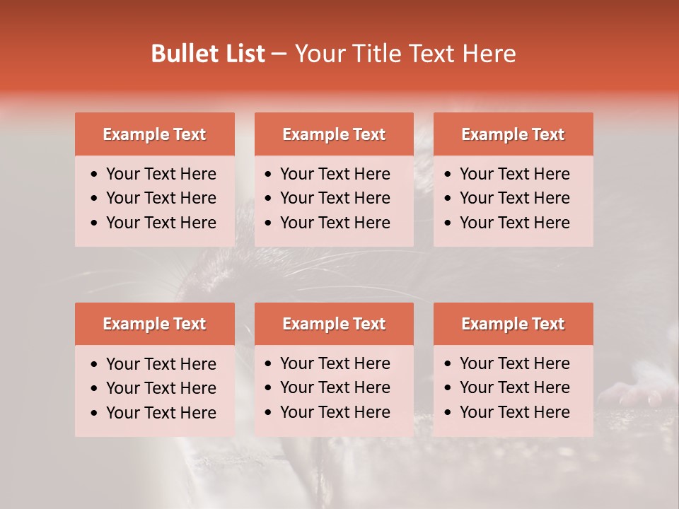 South America Mouse Rat Brown Rat PowerPoint Template