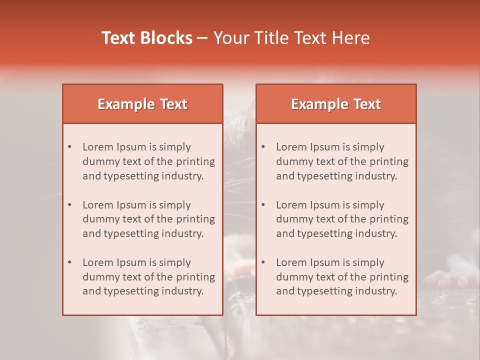South America Mouse Rat Brown Rat PowerPoint Template