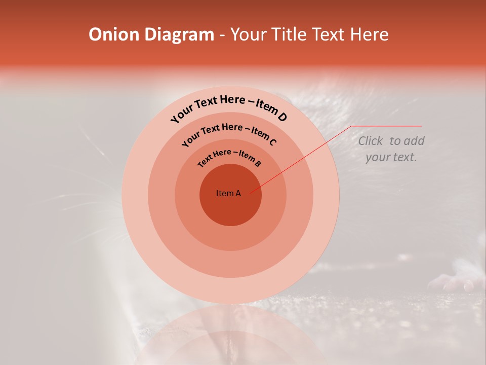 South America Mouse Rat Brown Rat PowerPoint Template