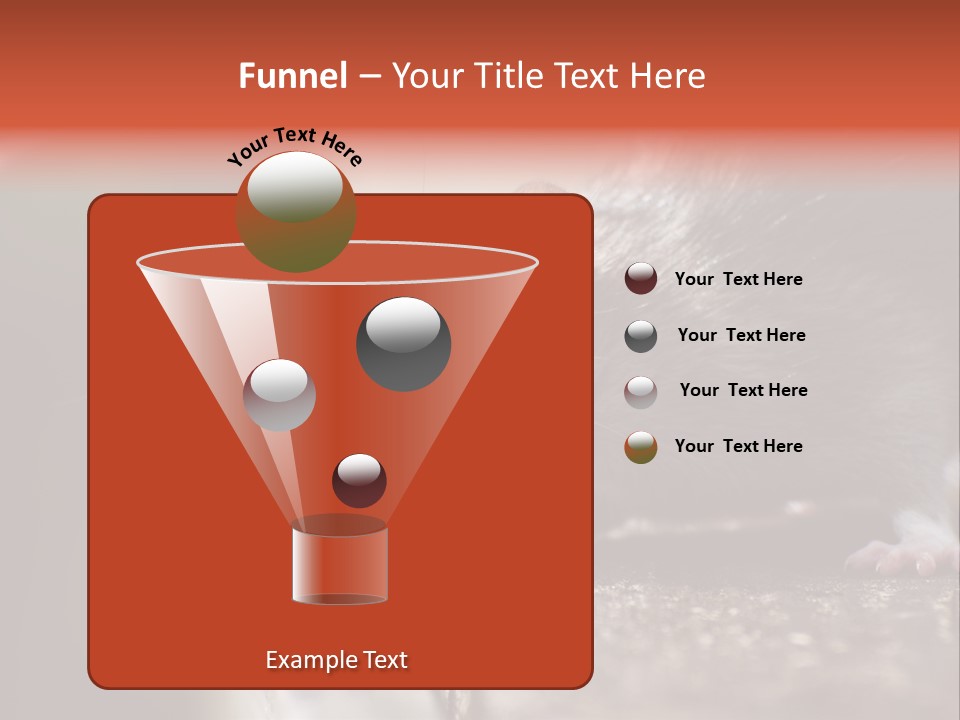 South America Mouse Rat Brown Rat PowerPoint Template