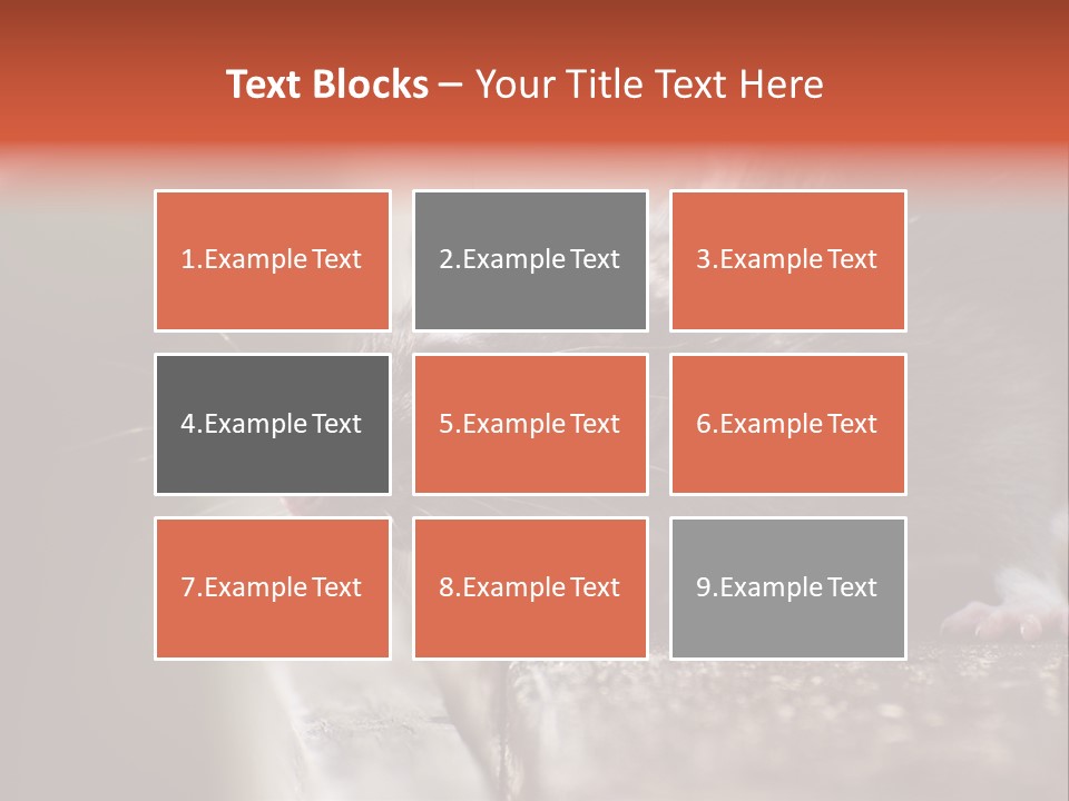 South America Mouse Rat Brown Rat PowerPoint Template