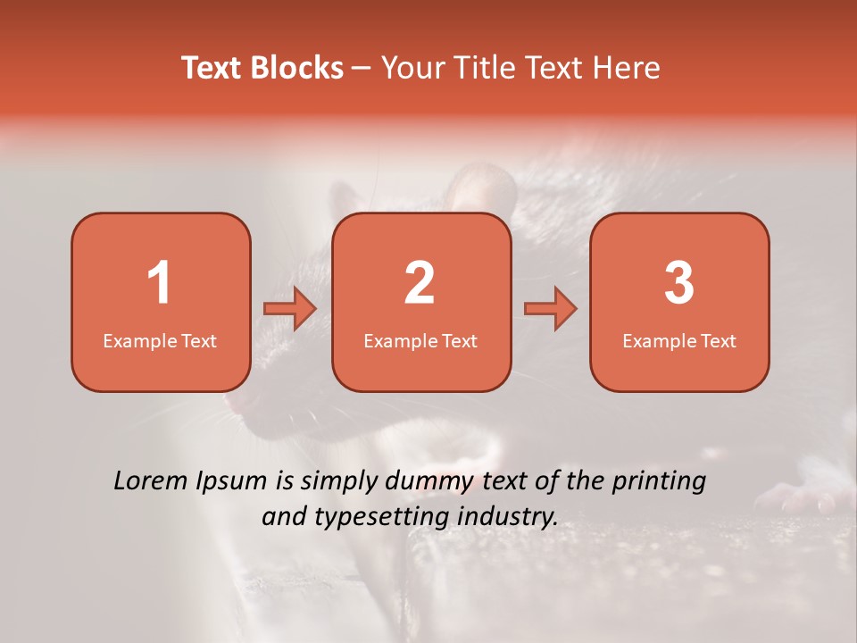 South America Mouse Rat Brown Rat PowerPoint Template