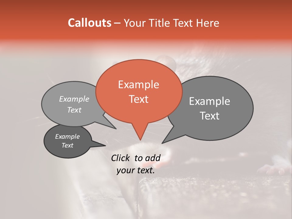 South America Mouse Rat Brown Rat PowerPoint Template