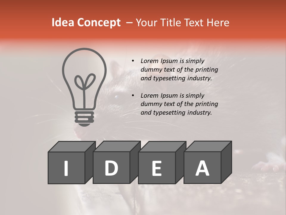 South America Mouse Rat Brown Rat PowerPoint Template