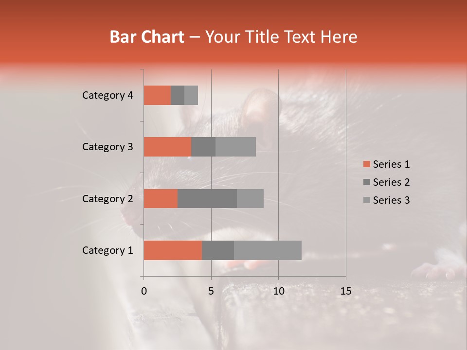 South America Mouse Rat Brown Rat PowerPoint Template