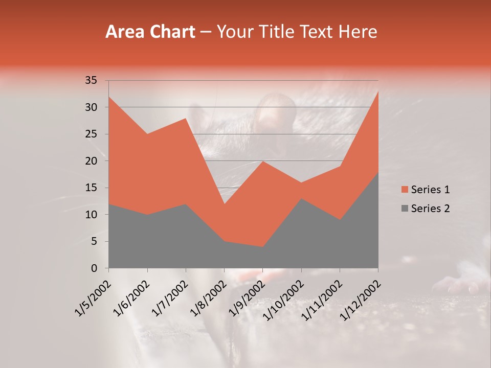 South America Mouse Rat Brown Rat PowerPoint Template
