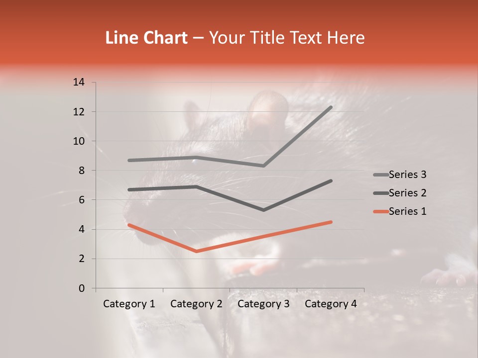 South America Mouse Rat Brown Rat PowerPoint Template