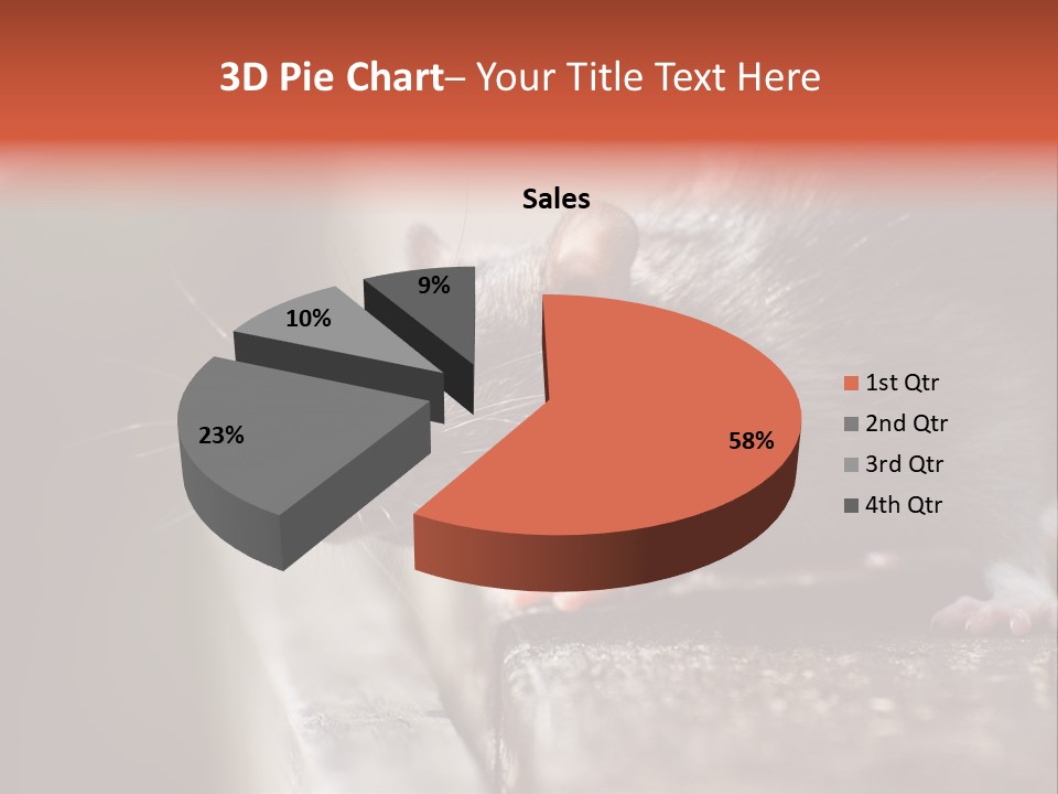 South America Mouse Rat Brown Rat PowerPoint Template