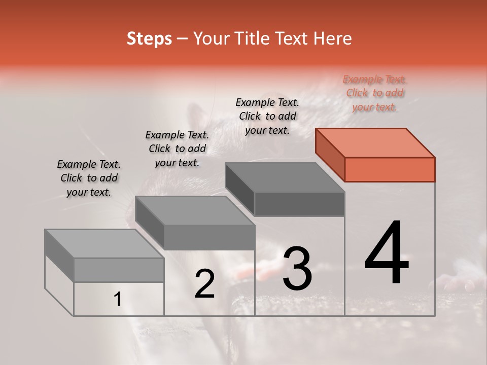 South America Mouse Rat Brown Rat PowerPoint Template