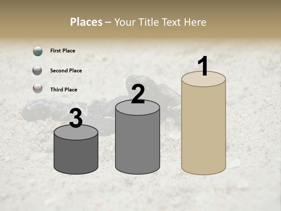 Beach Sea Turtle Sea Turtle Facts PowerPoint Template