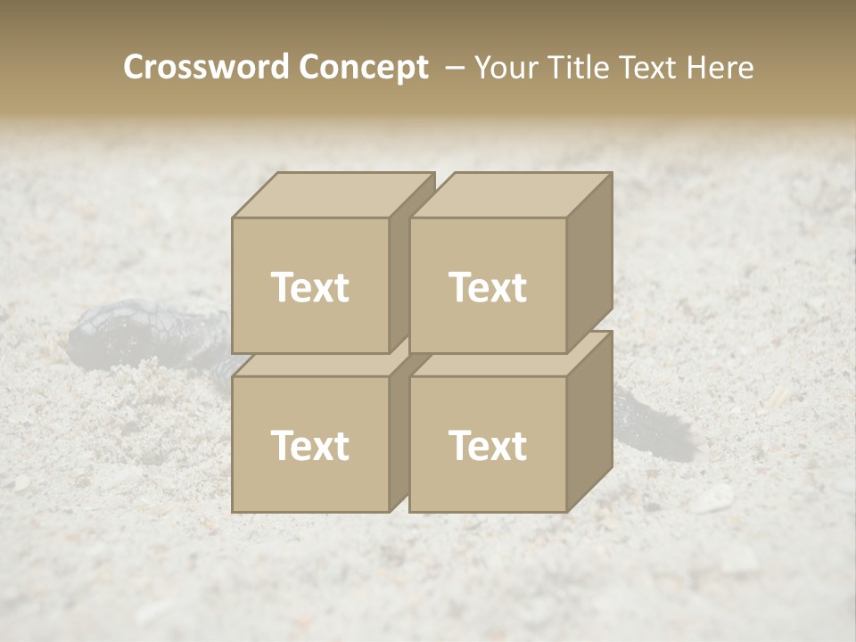 Beach Sea Turtle Sea Turtle Facts PowerPoint Template