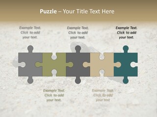Beach Sea Turtle Sea Turtle Facts PowerPoint Template