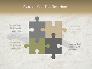 Beach Sea Turtle Sea Turtle Facts PowerPoint Template