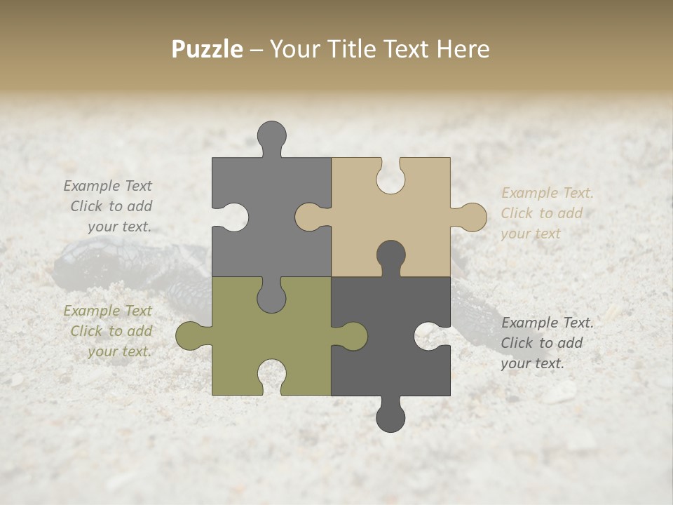 Beach Sea Turtle Sea Turtle Facts PowerPoint Template