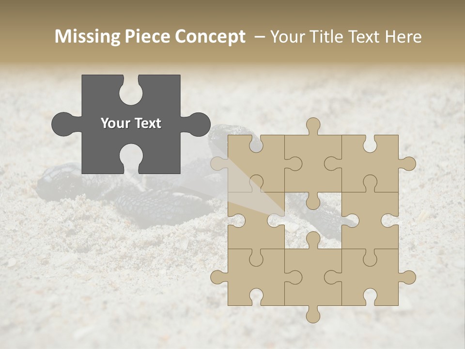 Beach Sea Turtle Sea Turtle Facts PowerPoint Template