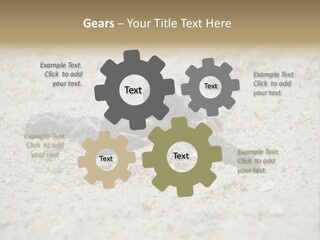 Beach Sea Turtle Sea Turtle Facts PowerPoint Template