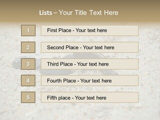 Beach Sea Turtle Sea Turtle Facts PowerPoint Template