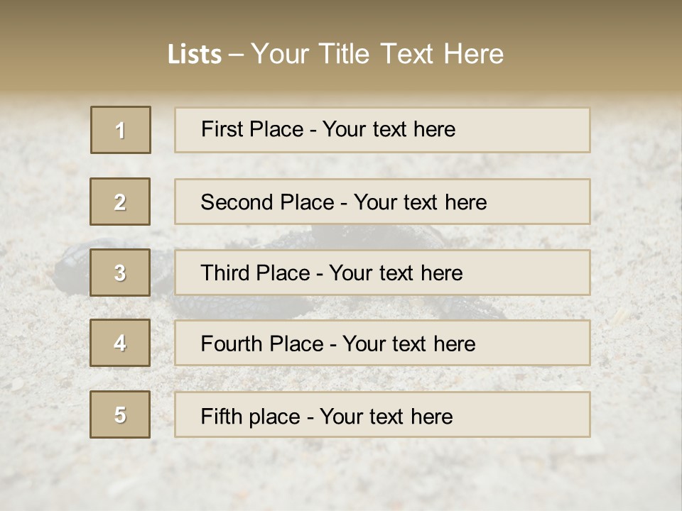 Beach Sea Turtle Sea Turtle Facts PowerPoint Template