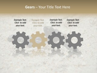 Beach Sea Turtle Sea Turtle Facts PowerPoint Template