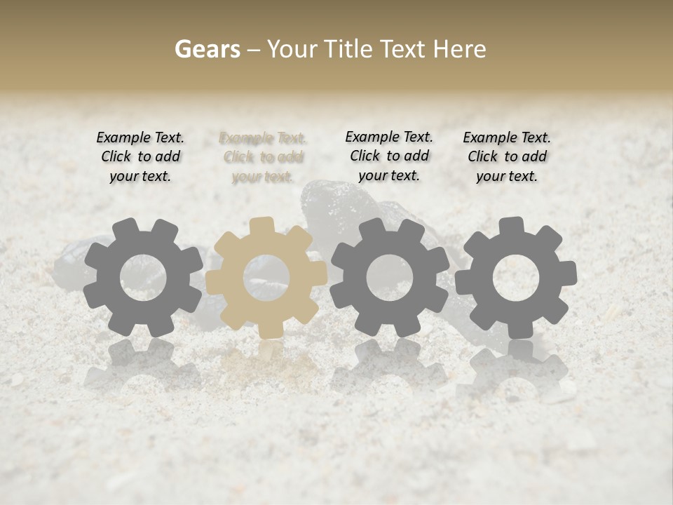 Beach Sea Turtle Sea Turtle Facts PowerPoint Template