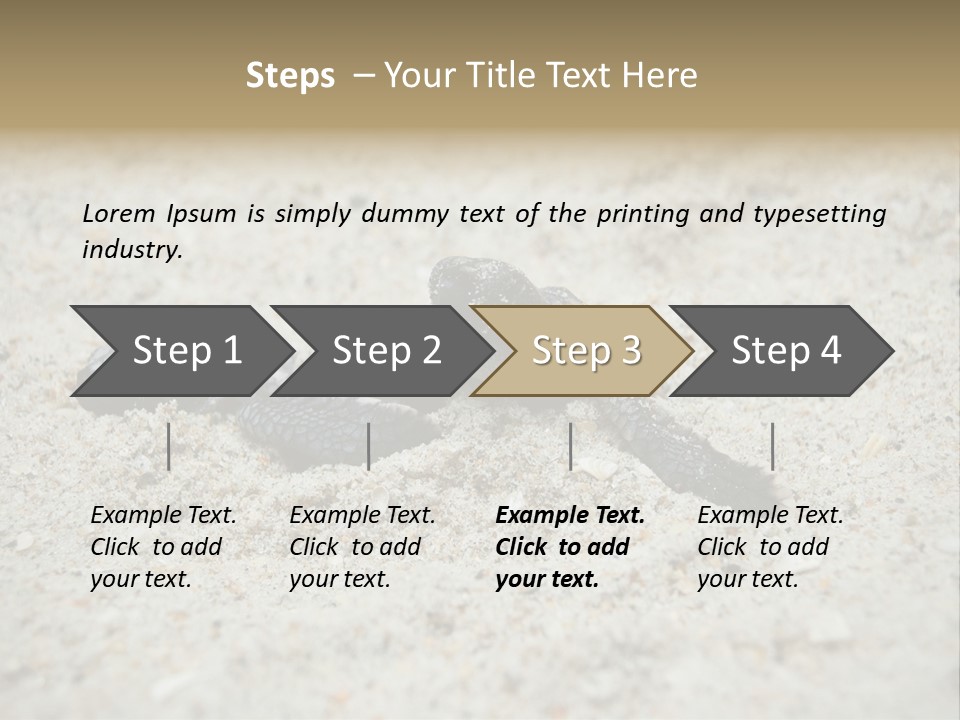 Beach Sea Turtle Sea Turtle Facts PowerPoint Template