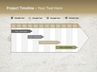 Beach Sea Turtle Sea Turtle Facts PowerPoint Template