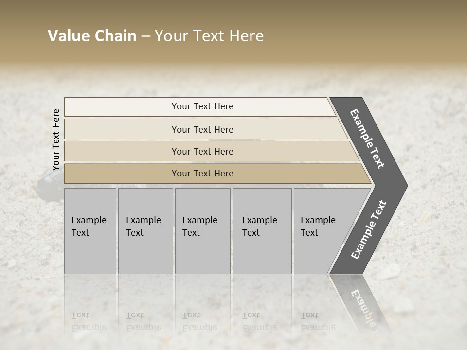 Beach Sea Turtle Sea Turtle Facts PowerPoint Template