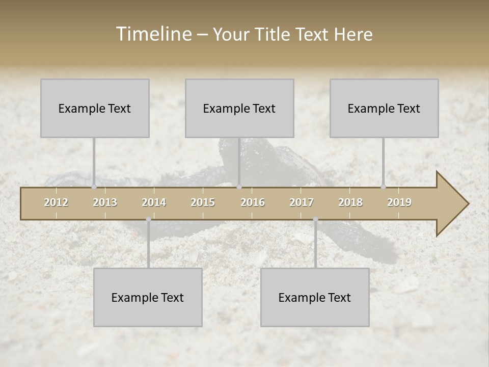Beach Sea Turtle Sea Turtle Facts PowerPoint Template