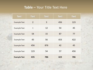 Beach Sea Turtle Sea Turtle Facts PowerPoint Template