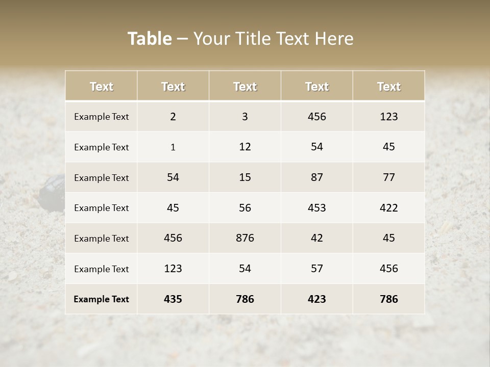 Beach Sea Turtle Sea Turtle Facts PowerPoint Template