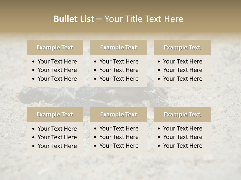 Beach Sea Turtle Sea Turtle Facts PowerPoint Template