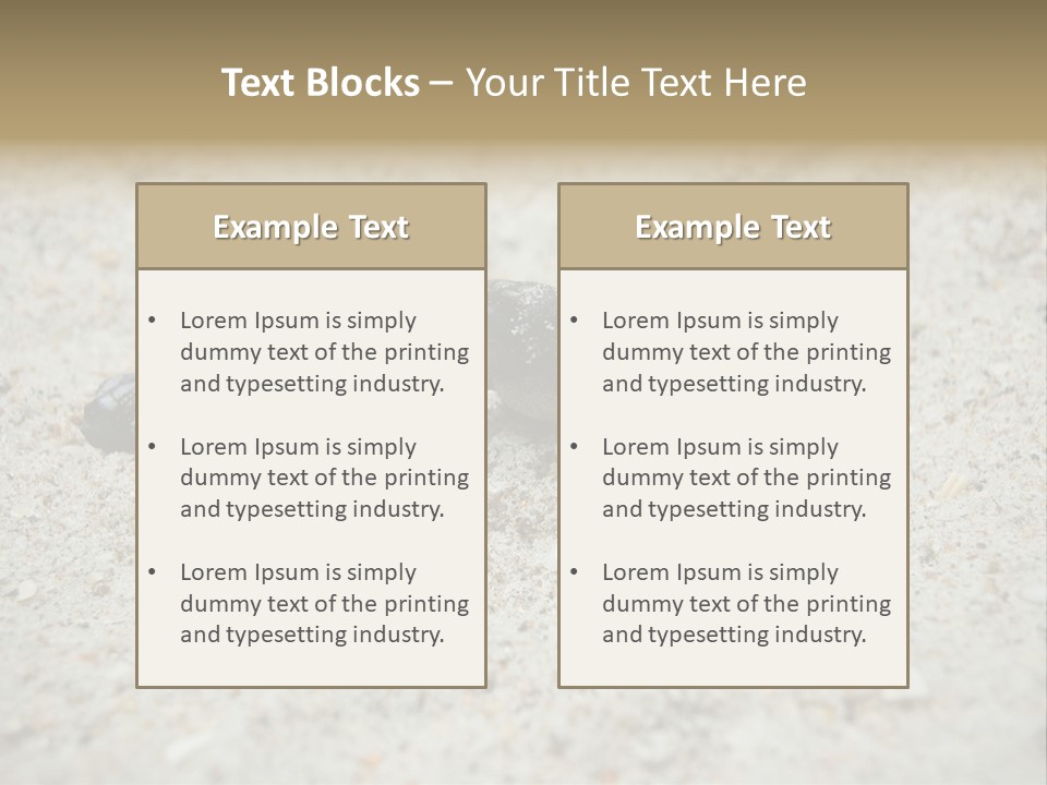 Beach Sea Turtle Sea Turtle Facts PowerPoint Template