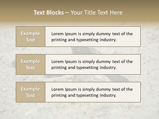 Beach Sea Turtle Sea Turtle Facts PowerPoint Template
