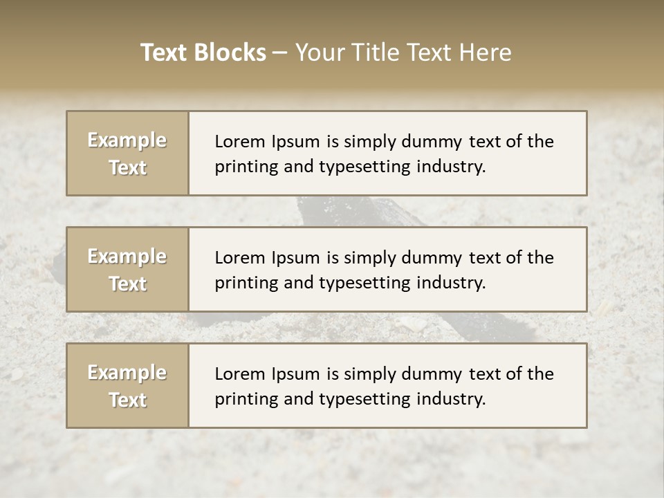 Beach Sea Turtle Sea Turtle Facts PowerPoint Template