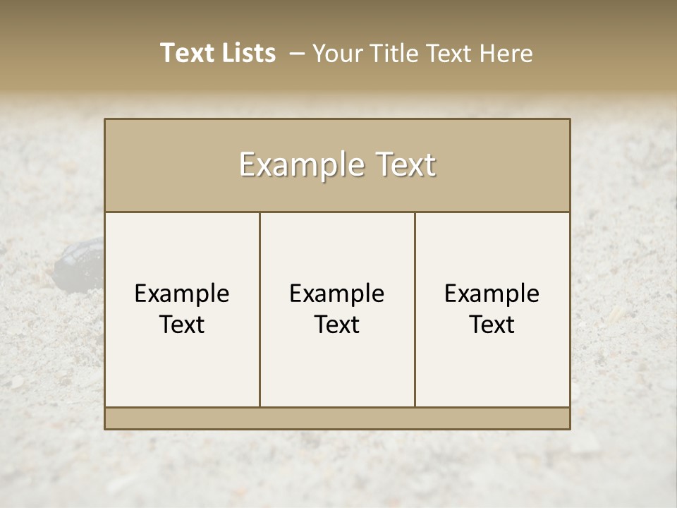 Beach Sea Turtle Sea Turtle Facts PowerPoint Template
